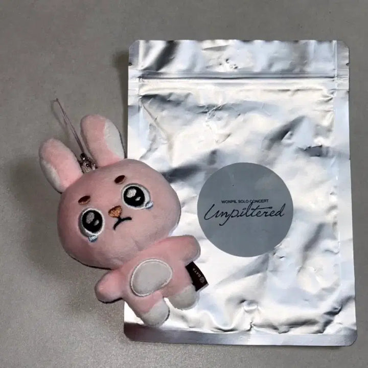 [BUNJANG] DAY6 Wonpil "Ppyangpil" Secret Keyring / 원필 시크릿 키링 뿌앵필 데이식스 양도
