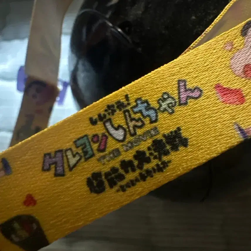 [BUNJANG] Crayon Shin-chan Japanese Popcorn Bucket / 일판 짱구 팝콘통