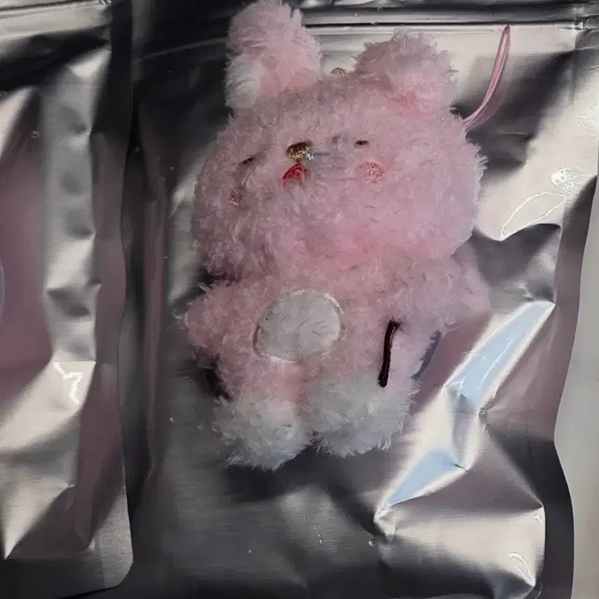 [BUNJANG] DAY6 Wonpil Unfiltered Secret Mini Keyring Kkulkkulpil Petitmal / 데이식스 원필 언필터드 시크릿 미니 키링 쿨쿨필 쁘멀