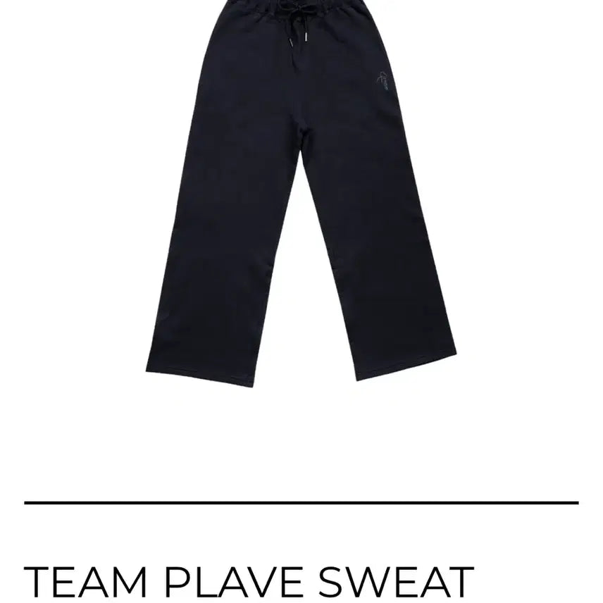 [BUNJANG] PLAVE Team PLAVE Sweatpants Navy L (Sealed) / 플레이브 팀플레이브 팬츠 네이비 L 미개봉