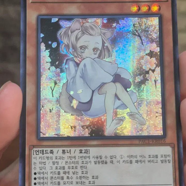 [BUNJANG] Yu-Gi-Oh! Ash Blossom &amp; Joyous Spring Secret Rare / 유희왕 하루 우라라 신일러 시크