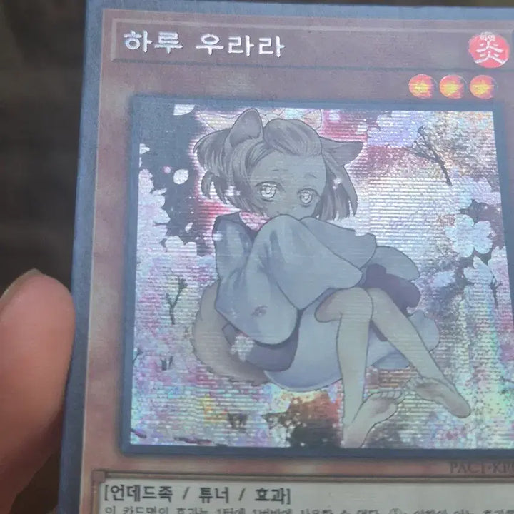 [BUNJANG] Yu-Gi-Oh! Ash Blossom &amp; Joyous Spring Secret Rare / 유희왕 하루 우라라 신일러 시크