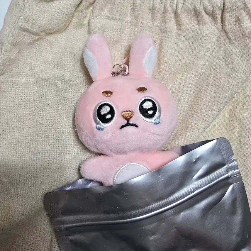 [BUNJANG] DAY6 Wonpil Secret Keyring Ppooeng / 데이식스 원필 시크릿키링 뿌엥