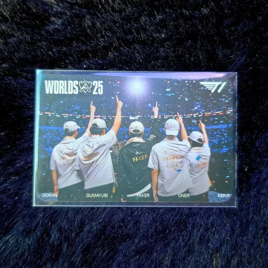 [BUNJANG] T1 MSI Worlds Skim Photocard Group (Back) / MSI 티원 월즈 우승 스킨 포카 단체(뒤)