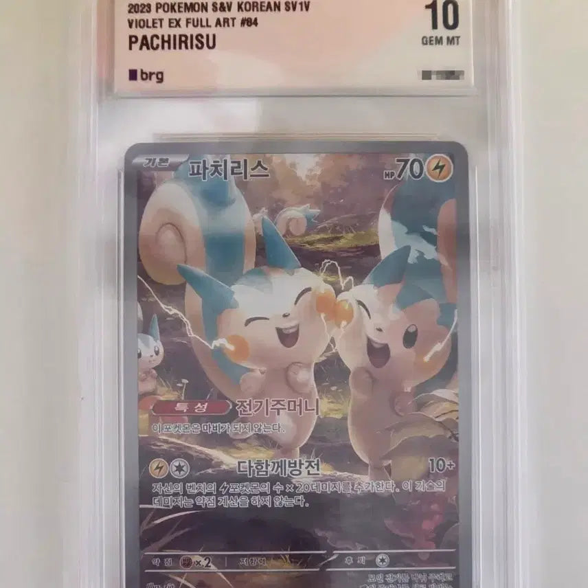 [BUNJANG] BRG10 Pachirisu AR / brg10 파치리스 ar
