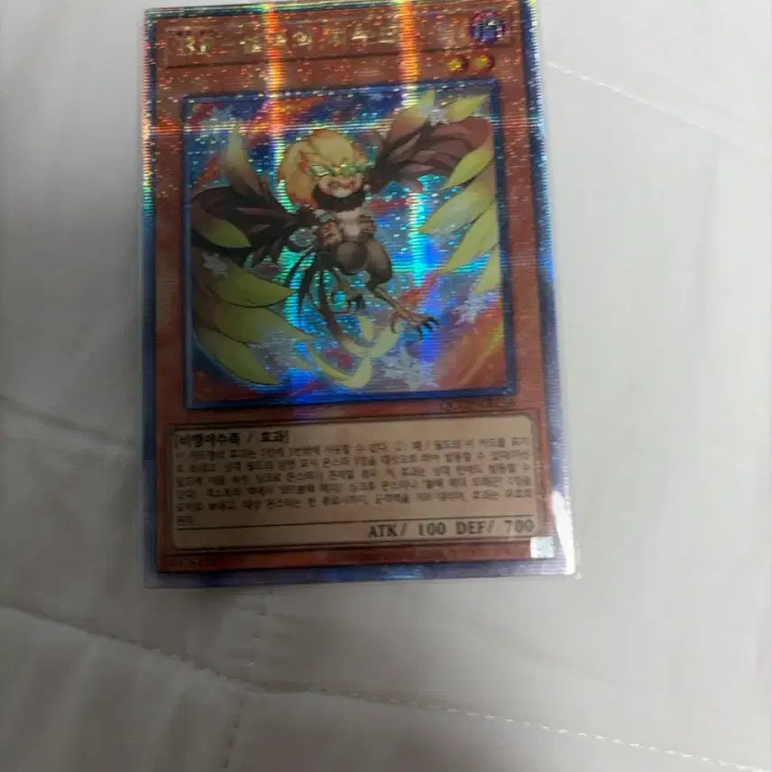[BUNJANG] Yu-Gi-Oh! Blackwing - Gale the Whirlwind Card / 유희왕 BF-설격의 치누코 팝니다