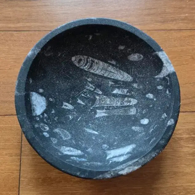 [BUNJANG] Orthoceras Fossil Stone Bowl / 화석 돌그릇 완 (오르토세라스 화석 돌그릇)