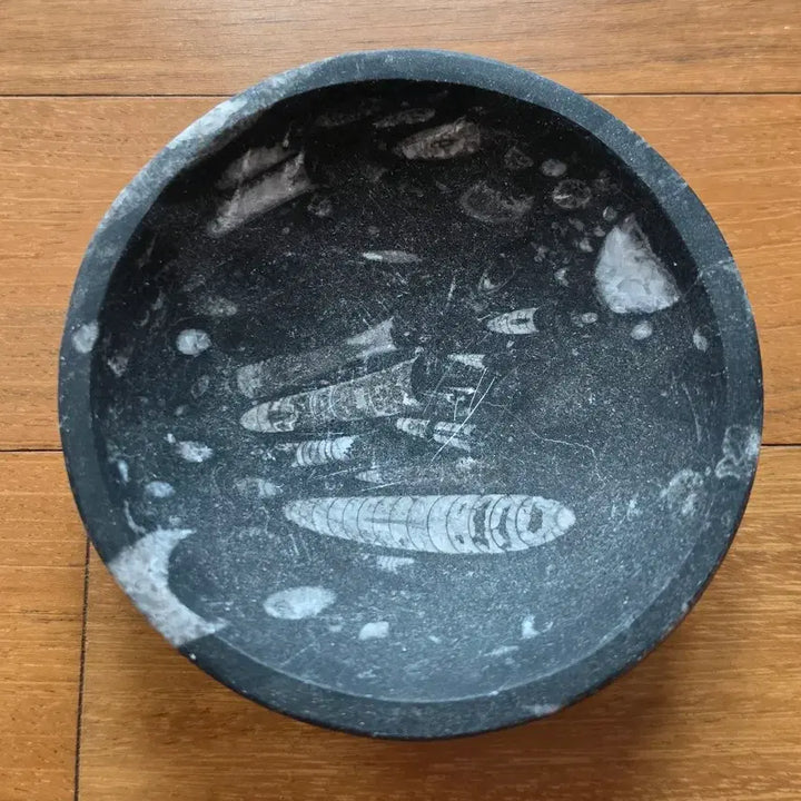 [BUNJANG] Orthoceras Fossil Stone Bowl / 화석 돌그릇 완 (오르토세라스 화석 돌그릇)