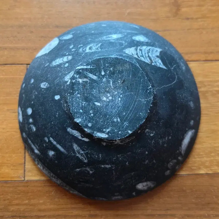 [BUNJANG] Orthoceras Fossil Stone Bowl / 화석 돌그릇 완 (오르토세라스 화석 돌그릇)