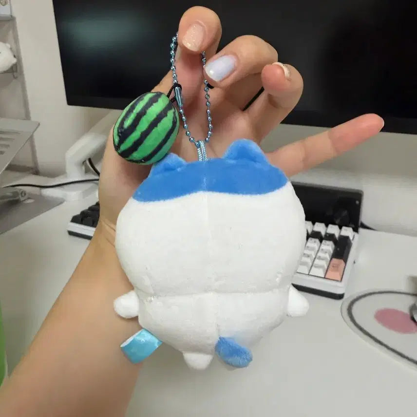 [BUNJANG] Hachiware Watermelon Breaking Mascot / 하치와레 수박깨기 마스코트(택x 암실보관)