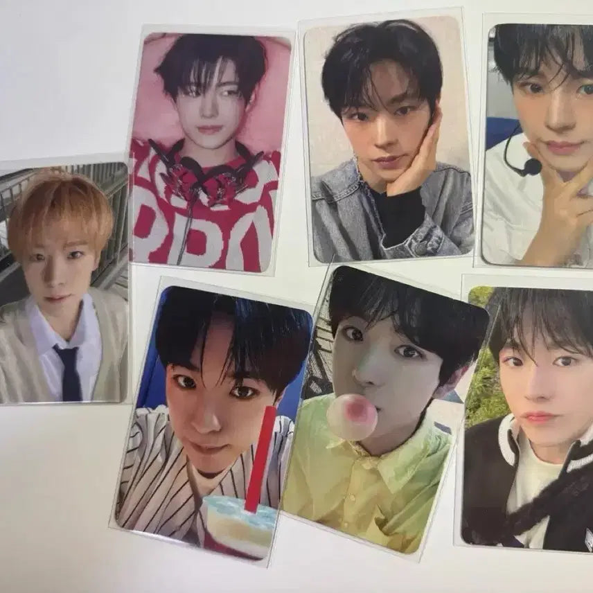 [BUNJANG] NCT WISH Yushi Songbird Steady Fanmeeting Photocard Bundle Set / 일괄) 엔시티 위시 nct wish 유우시 송버드 스테디 팬미팅 특전 입장 포카 양도