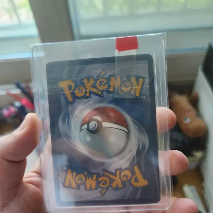 [BUNJANG] Charizard, Suicune, Raikou 20th Anniversary / 리자몽 20주년,스이쿤 라이코