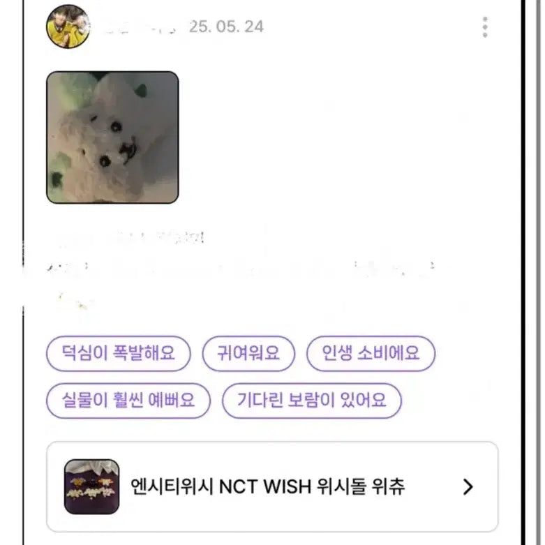 [BUNJANG] WishDoll Wichu (Jaehee) / 급처) 위시돌 위츄 (재희)