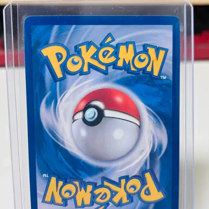 [BUNJANG] Pokemon Cards 6 Types Bundle Set / 포켓몬카드 6종 일괄 판매(글라디오의 결전,야도란,콘치,에너지,팽도리,쥬래곤)