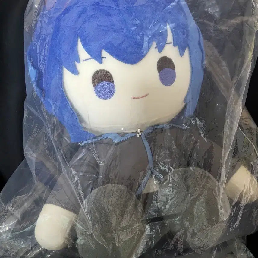 [BUNJANG] Character Transformation Cardcaptor Sakura Toma Plush Doll / 캐릭캐릭체인지 쿠지 B상 토마봉제인형