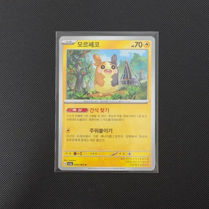 [BUNJANG] Pokemon Card Morpeko (030/066) / [포켓몬카드] 모르페코 도감용 sv5a 030/066