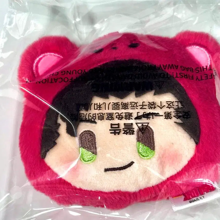 [BUNJANG] Detective Conan SmolQ Chinese SCLA Detective Bear Keyring Series (Shuichi Akai) / LDCX 명탐정 코난 SmolQ 중국 SCLA 곰곰 탐정 베어곰 키링 시리즈 (아카이 슈이치) 이상윤 라이 곰인형 누이 인형