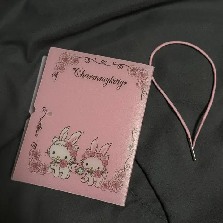 [BUNJANG] Chami Kitty Sleeve Storage Box (Replica) / 챠미키티 슬리브 보관함 (비정품)