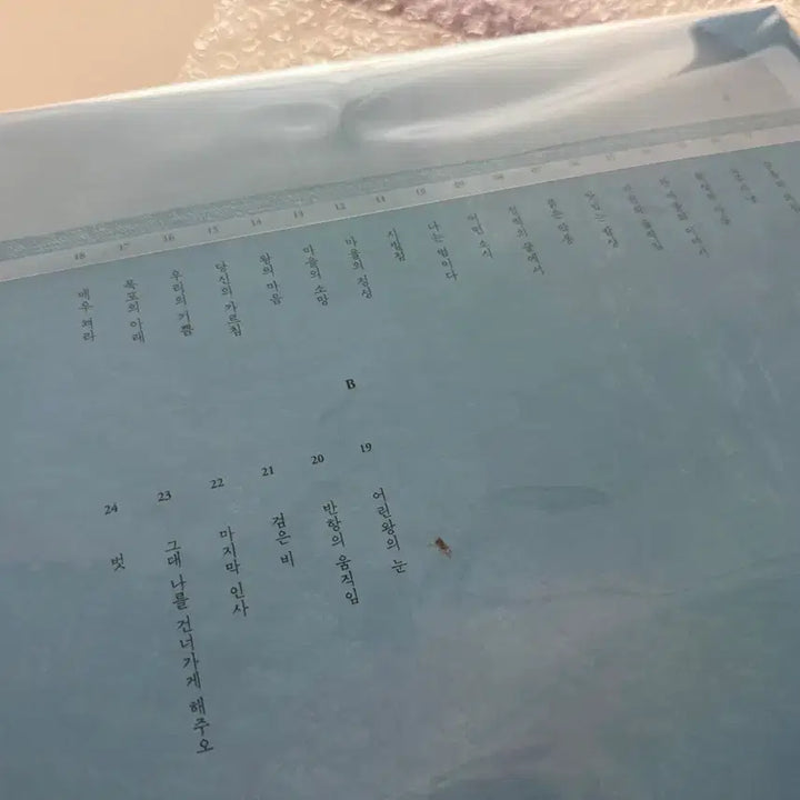 [BUNJANG] King Saud University LP Sealed / 왕사남 LP 미개봉
