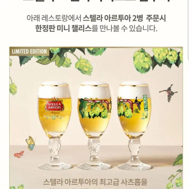 [BUNJANG] Stella Artois Mini Chalice Kim Nuri / 스텔라 아르투아 미니 챌리스 김누리