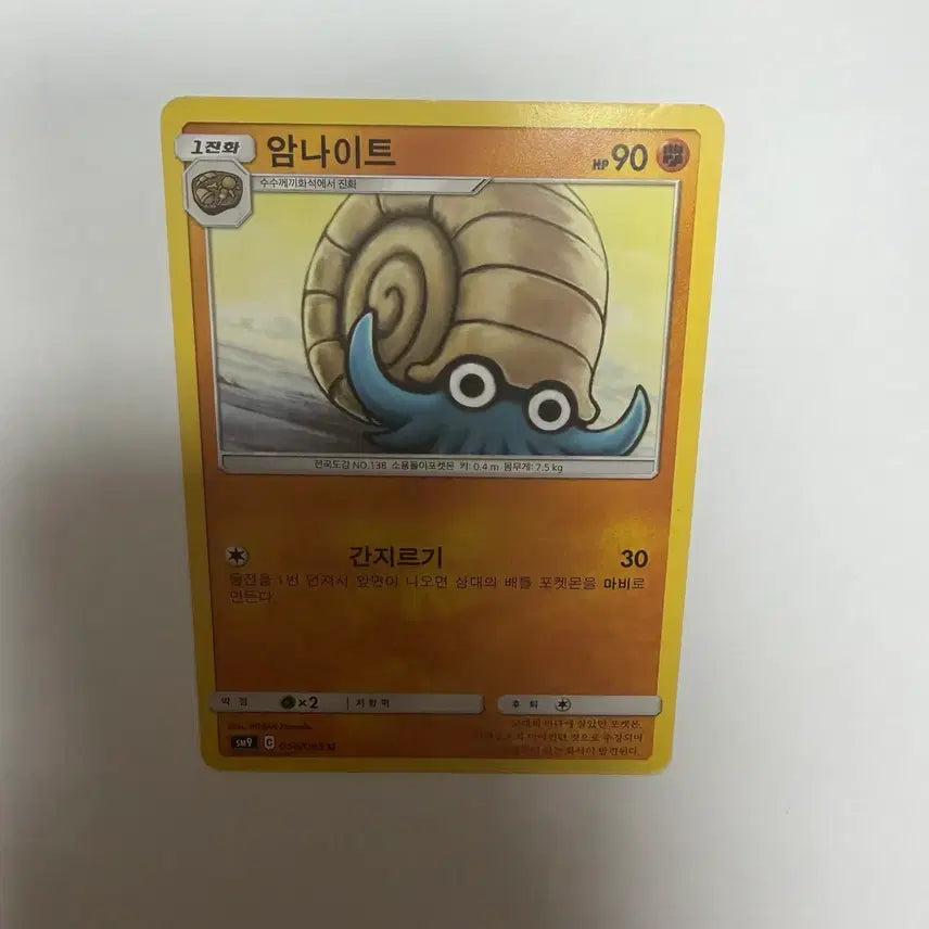 [BUNJANG] Pokemon Card Collection / 암나이트 포켓몬카드