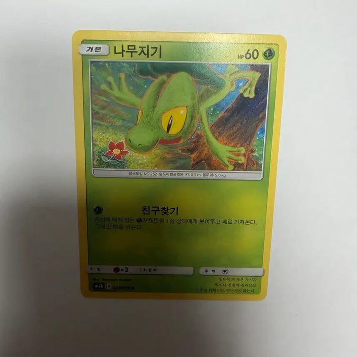 [BUNJANG] Namujigi Pokemon Card / 나무지기 포켓몬카드
