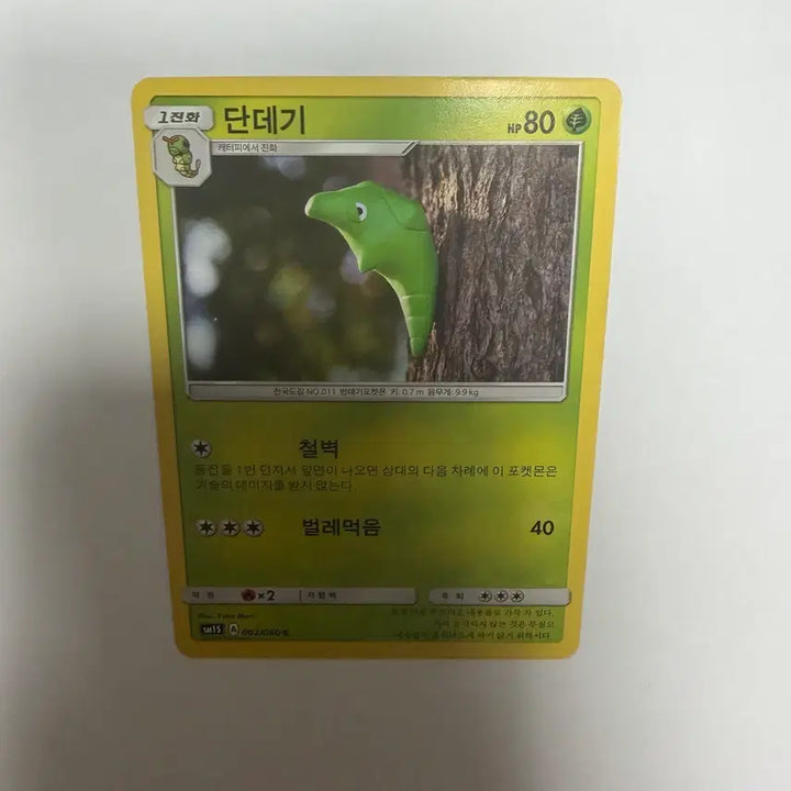 [BUNJANG] Pokemon Card Caterpillar / 단데기 포켓몬카드