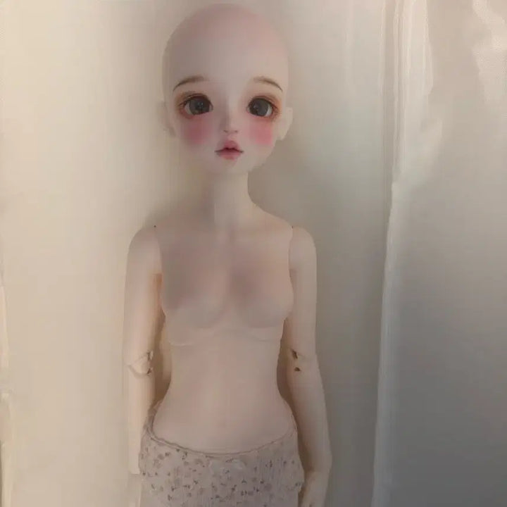 [BUNJANG] Chicabi Wendy Baby Whitening Doll (Original) / 치카비 웬디베이비 미백 본체