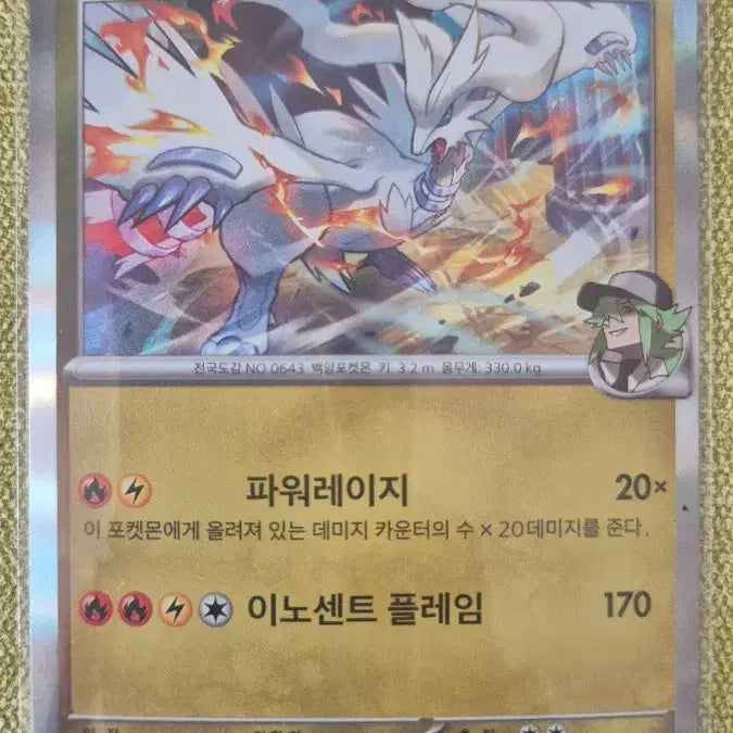 [BUNJANG] Pokemon Card N&