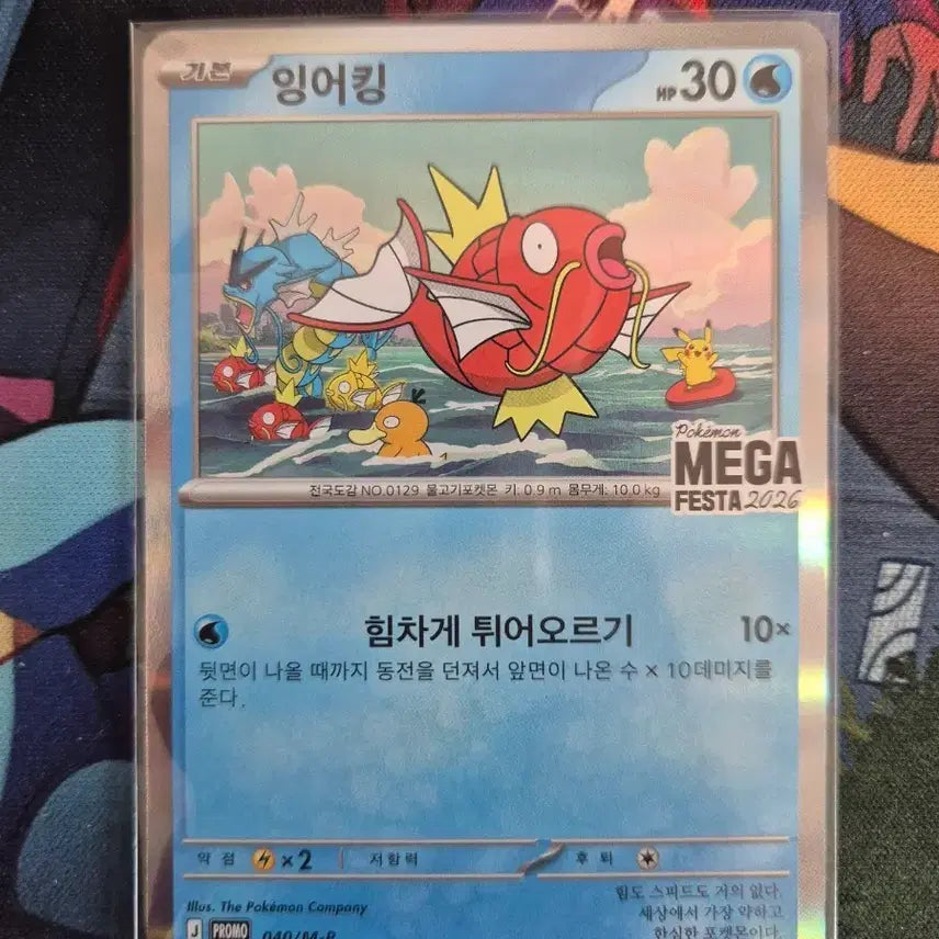 [BUNJANG] Gyarados Promo Card / S급)잉어킹 프로모 1번