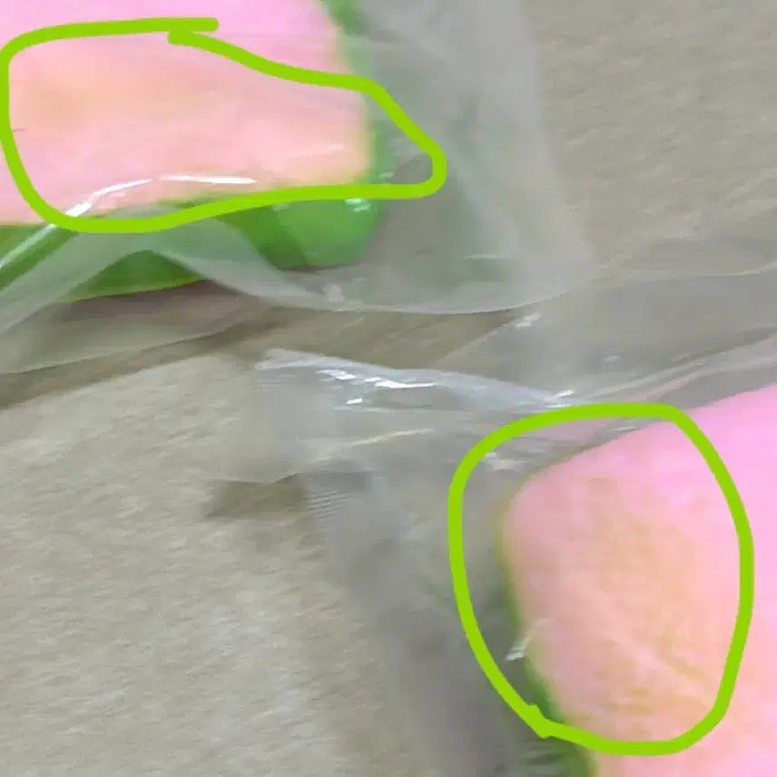 [BUNJANG] Slangi Guava Bread Plush / 구아바식빵 슬랑이