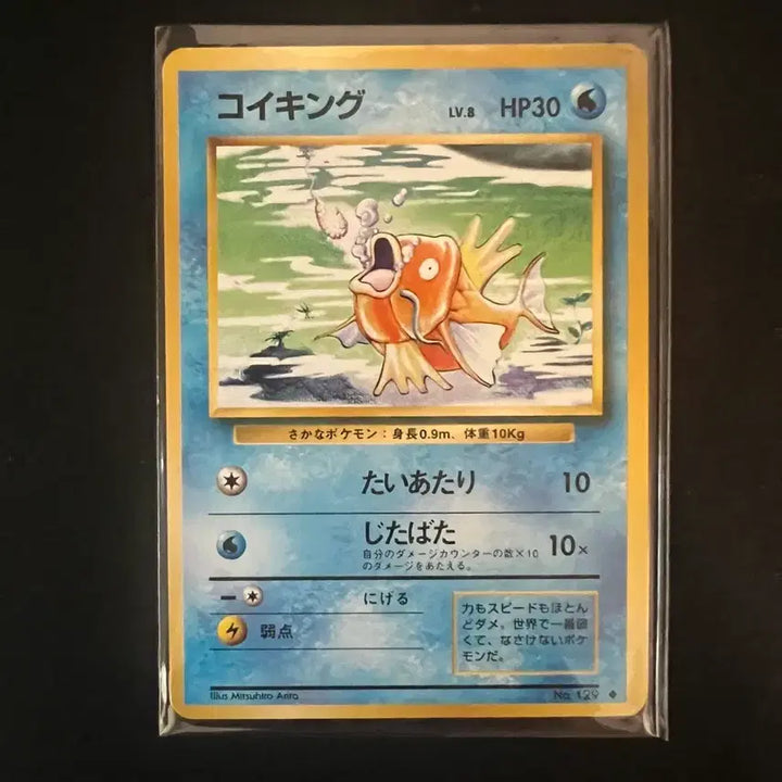 [BUNJANG] Vintage Pokemon Card - Magikarp (Old Back) / 포켓몬카드 빈티지 올드백 잉어킹