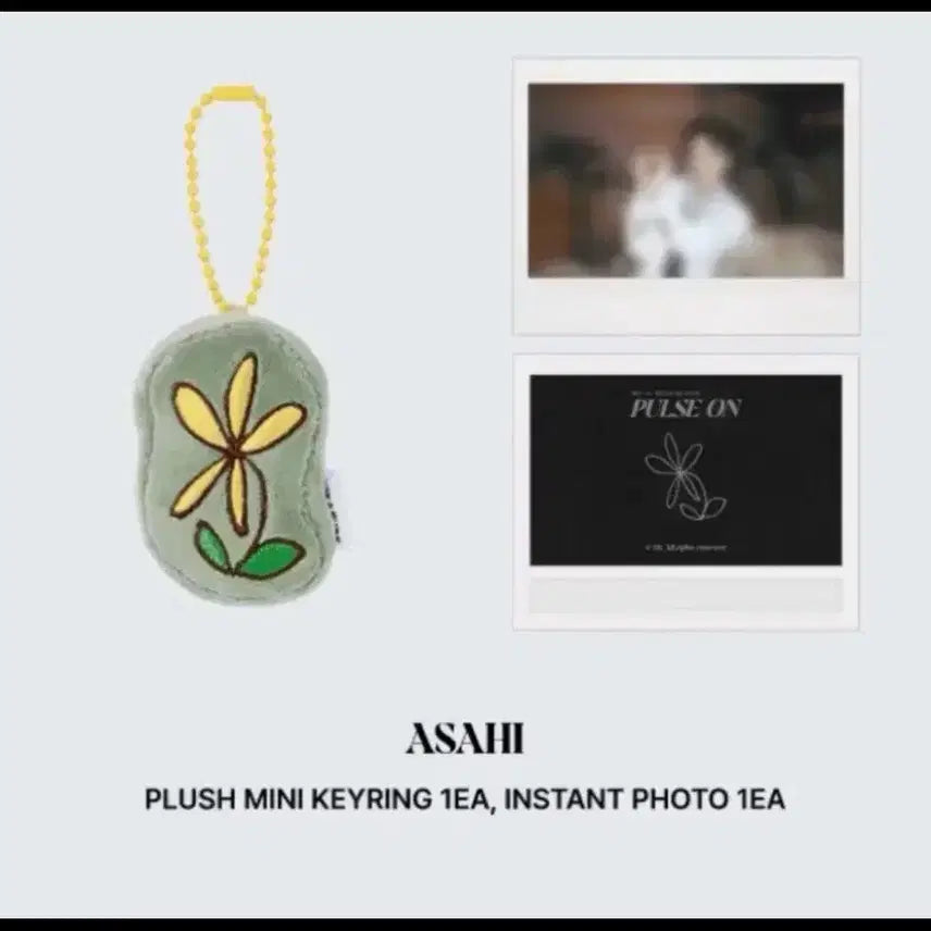 [BUNJANG] TREASURE Asahi Plush Mini Keychain Photocard / 트레저 플러시 미니 키링x 폴라 아사히