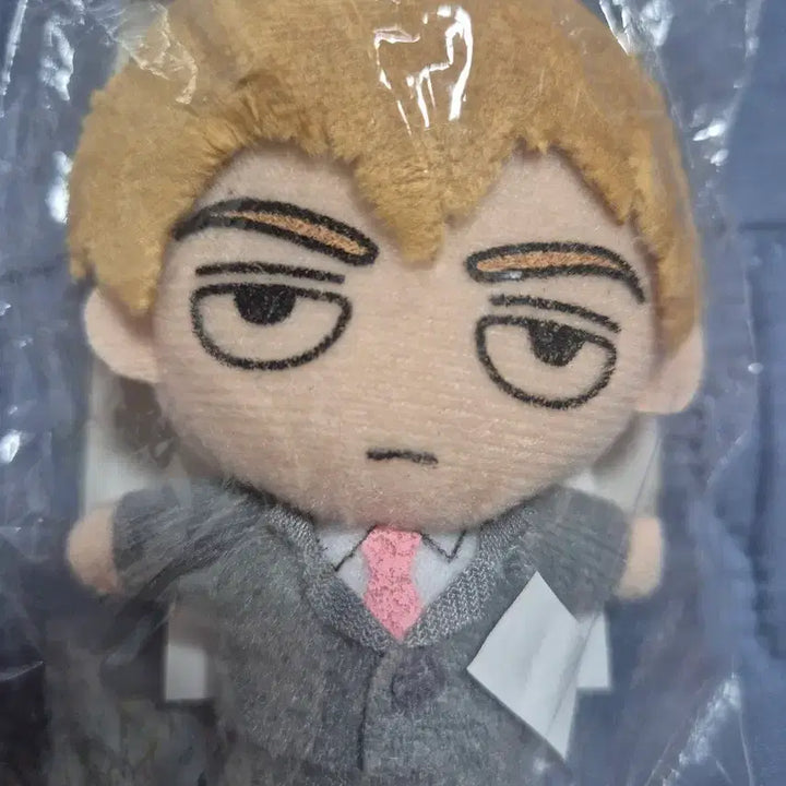 [BUNJANG] Reigen Kongnui Sealed / 레이겐 콩누이
