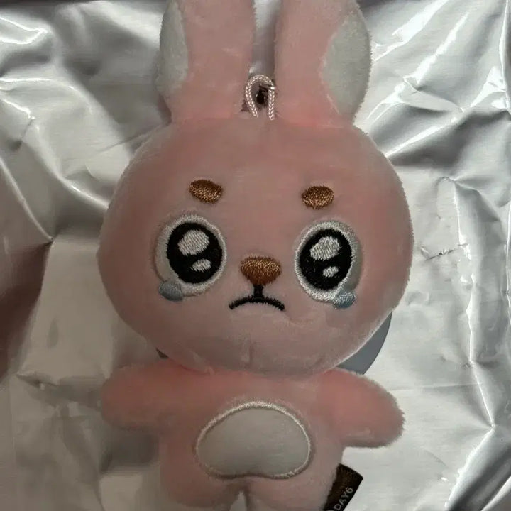 [BUNJANG] Day6 Wonpil Unfiltered Secret Keyring Ppoengpil / 데이식스 원필 언필터드 시크릿 키링 뿌엥필