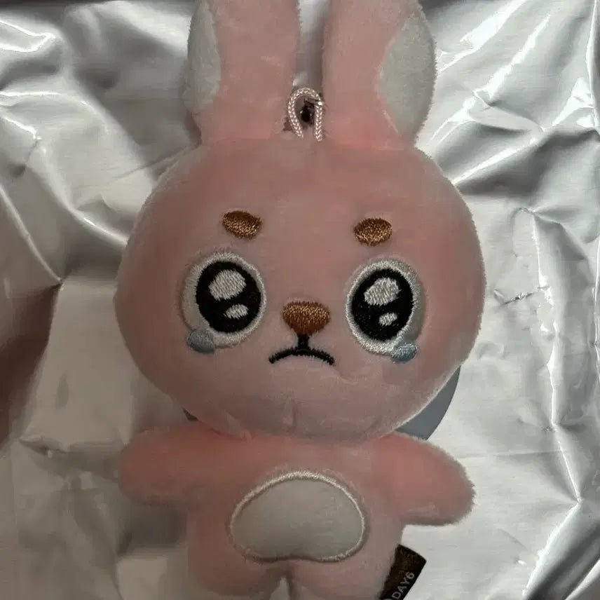 [BUNJANG] Day6 Wonpil Unfiltered Secret Keyring Ppoengpil / 데이식스 원필 언필터드 시크릿 키링 뿌엥필