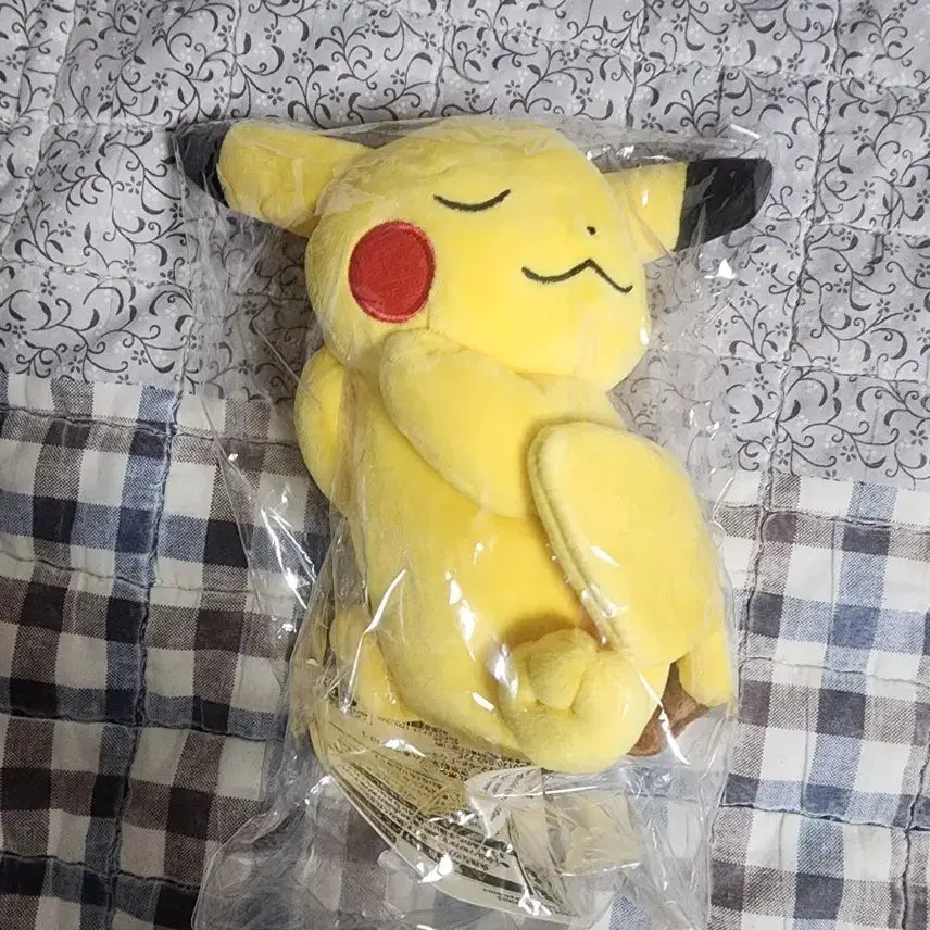 [BUNJANG] Official Pokémon Center Sleeping Pikachu Plush / 포켓몬센터 정품 잠자는 피카츄 인형
