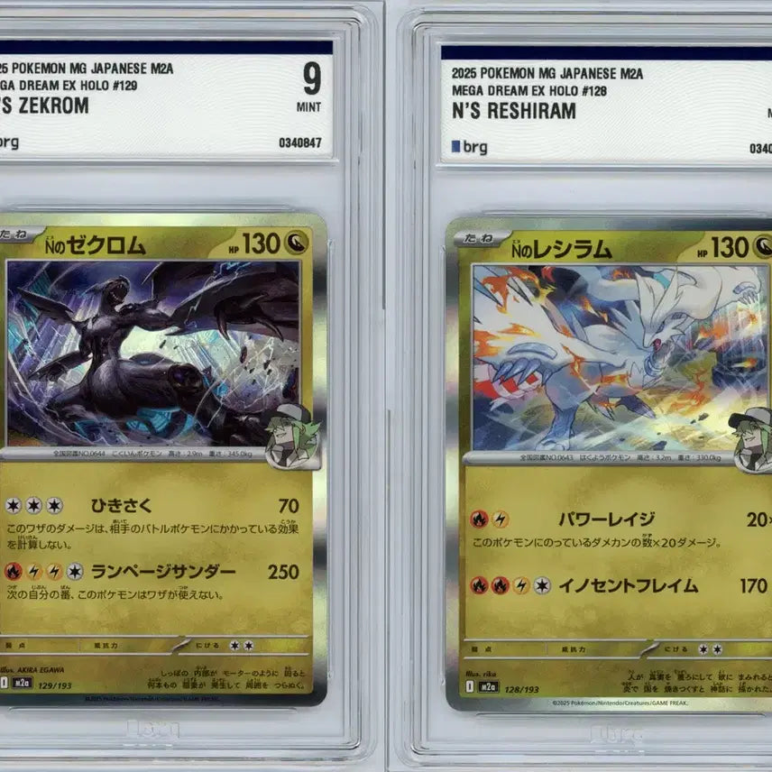 [BUNJANG] Reshiram Zekrom Holo Twin Pack Pokémon Card / 일판 제크로무, 레시라무 홀로 brg9 연번 포켓몬카드