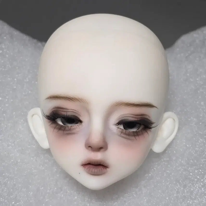 [BUNJANG] MSD Roots Romance Bori Sweetie White Head / msd 루츠 로맨스 보리 스위티 미백 헤드