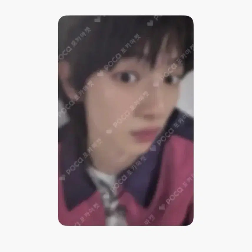 [BUNJANG] KORTIZ Jinhoon Photocard / 코르티스 주훈 포카 양도