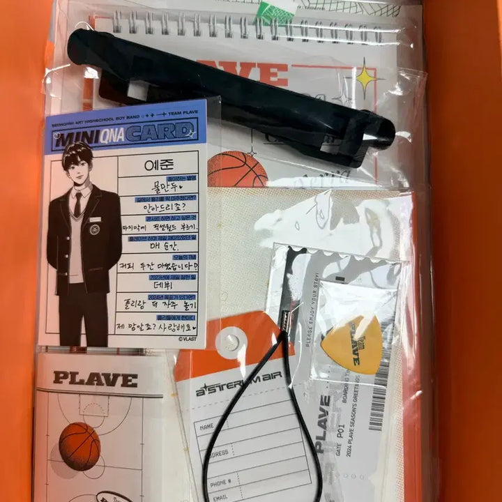 [BUNJANG] PLAVE 2024 Season&