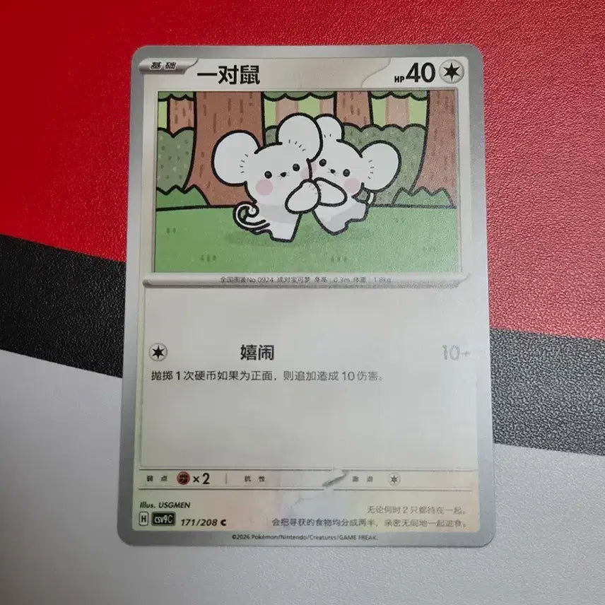 [BUNJANG] Chinese Edition Durgey Pokemon Card Album Set / 중판 두리쥐 포켓몬카드 앨범용