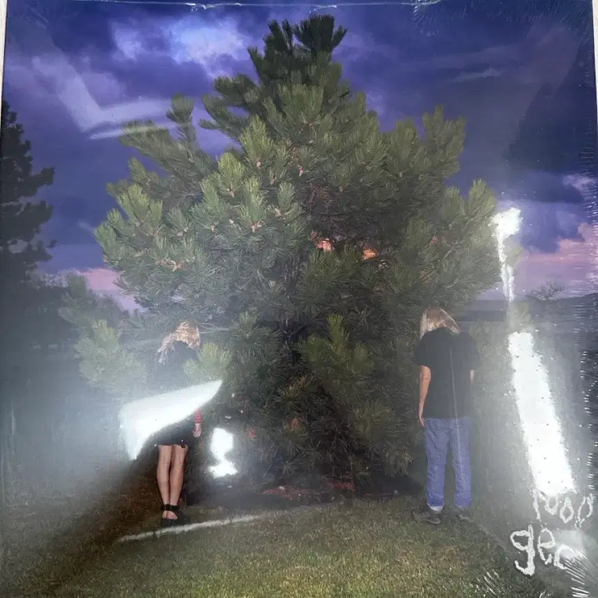 [BUNJANG] 100gecs 1000gecs LP (Sealed) / 100gecs - 1000gecs lp 미개봉