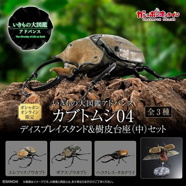 [BUNJANG] Bandai Creature Encyclopedia Advance Rhinoceros Beetle Vol. 4 Full Set / 반다이 생물대도감 어드밴스 장수풍뎅이 4탄