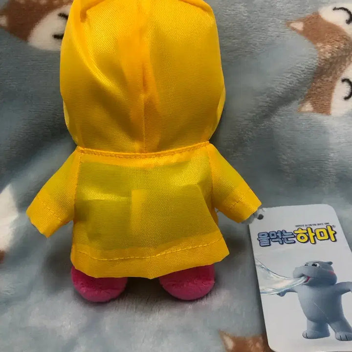 [BUNJANG] Water-Absorbing Dehumidifier Keychain / (택포)물 먹는 하마 키링 팝니다