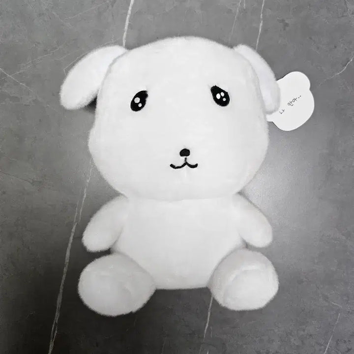 [BUNJANG] Ganadi Doll &amp; Keyring Set / 가나디