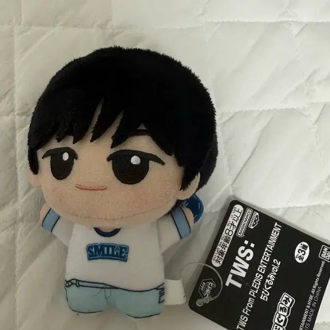 [BUNJANG] TWS Dohoon Chibi Gumi Plush / 새상품) 투어스 반다이남코 도훈 치비구루미 TWS 인형