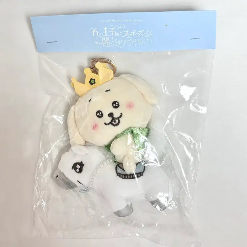 [BUNJANG] NCT WISH Baekma Daengtriber Japan Fanmeeting Photocard / 엔시티 위시 백마 댕트리버 일본 팬미팅