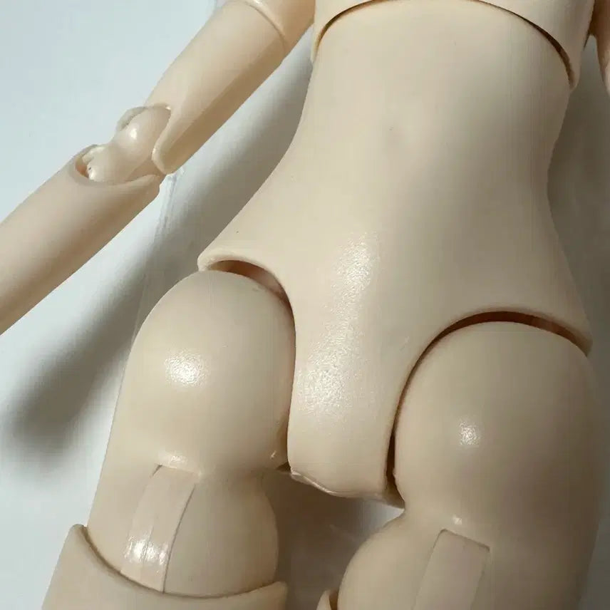 [BUNJANG] Obitsu Pureneemo BJD Body for Licca, Blythe, Pullip, YMY Dolls / 구체관절인형 바디 오비츠 퓨어니모 BJD 리카돌 브라이스 푸리프 YMY