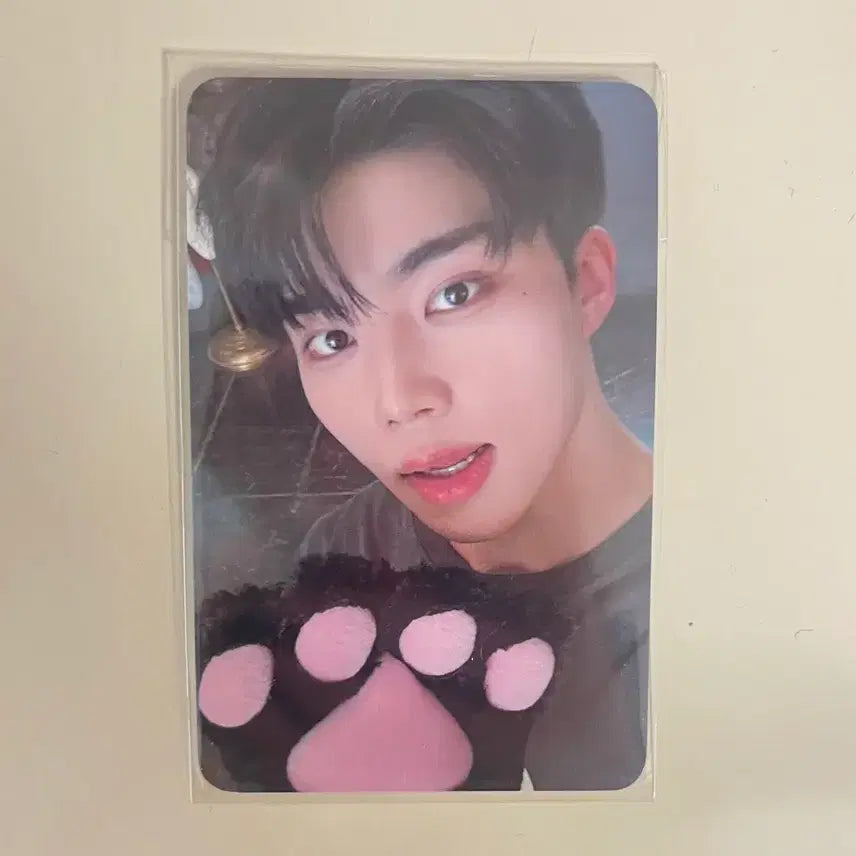 [BUNJANG] ZEROBASEONE Park Gunwook World Tour Here &amp; Now Zerose Zone Photocard / 제로베이스원 박건욱 월드투어 here&amp;now 제로즈존 포카